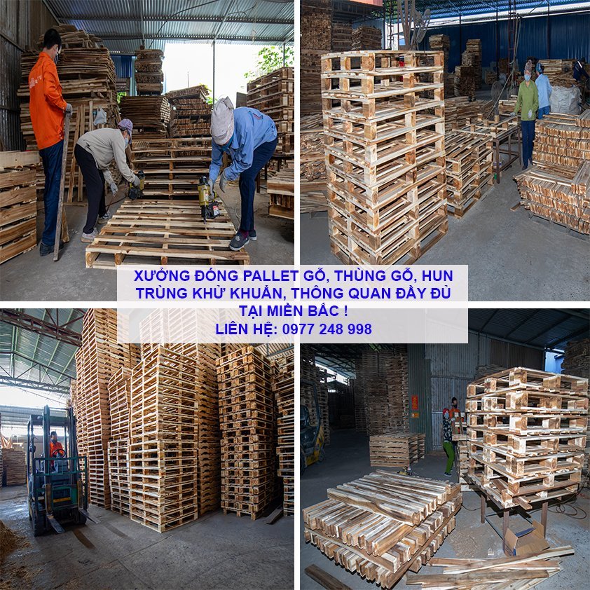 Khử trùng pallet gỗ thùng gỗ theo tiêu chuẩn ISPM 15
